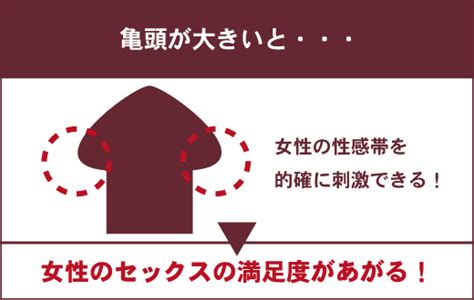 ちんこカリとは|【カリ高の基準】男の憧れ「カリ高」になる5つの方。